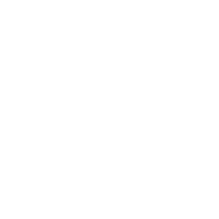 Secure Shipping Icon