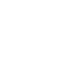 Fast Delivery Icon