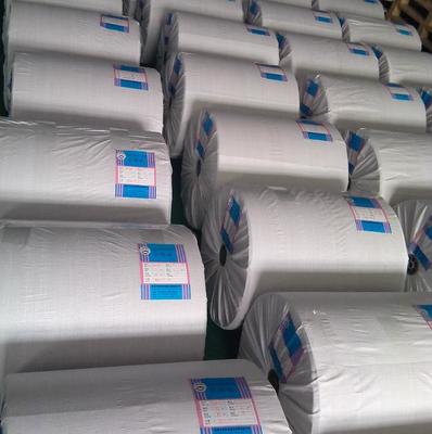 ocean lcl freight service paper roll from shekou to dubai