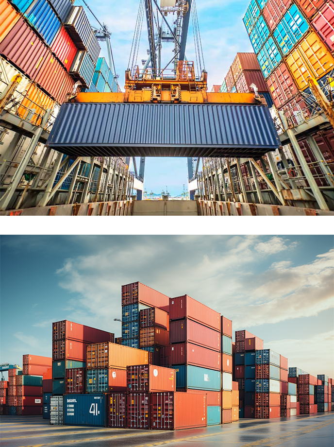 One-Stop Customs Clearance Solution