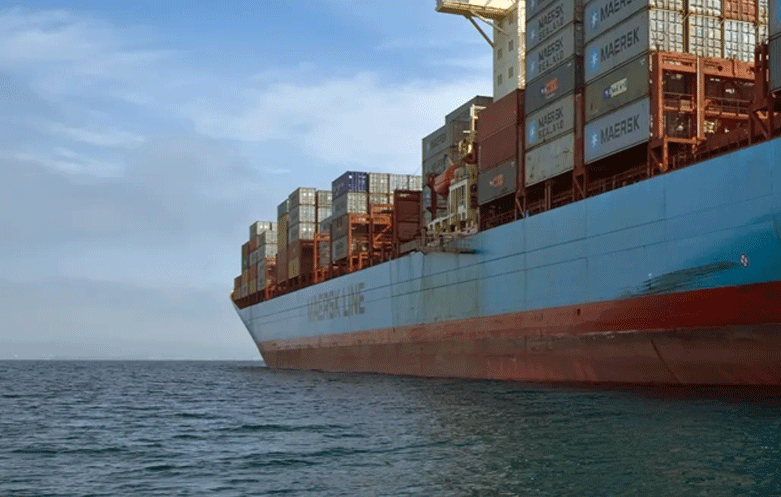 Trade statistics between China and France