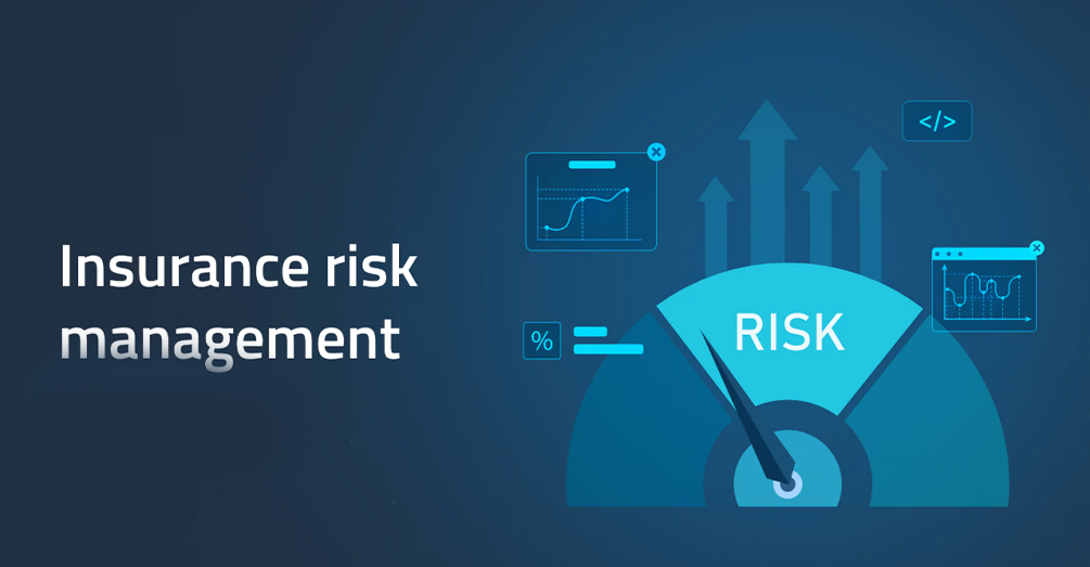 Nigeria risk management