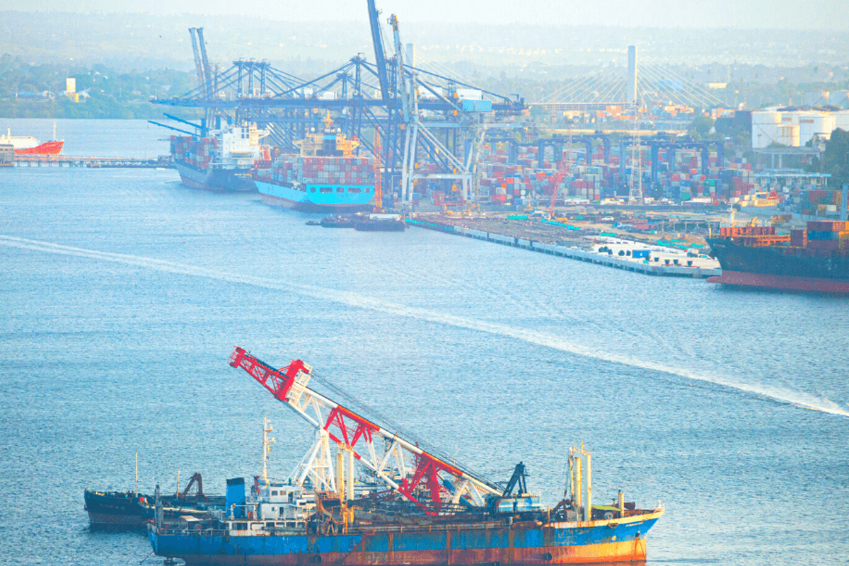 Tanzania port infrastructure